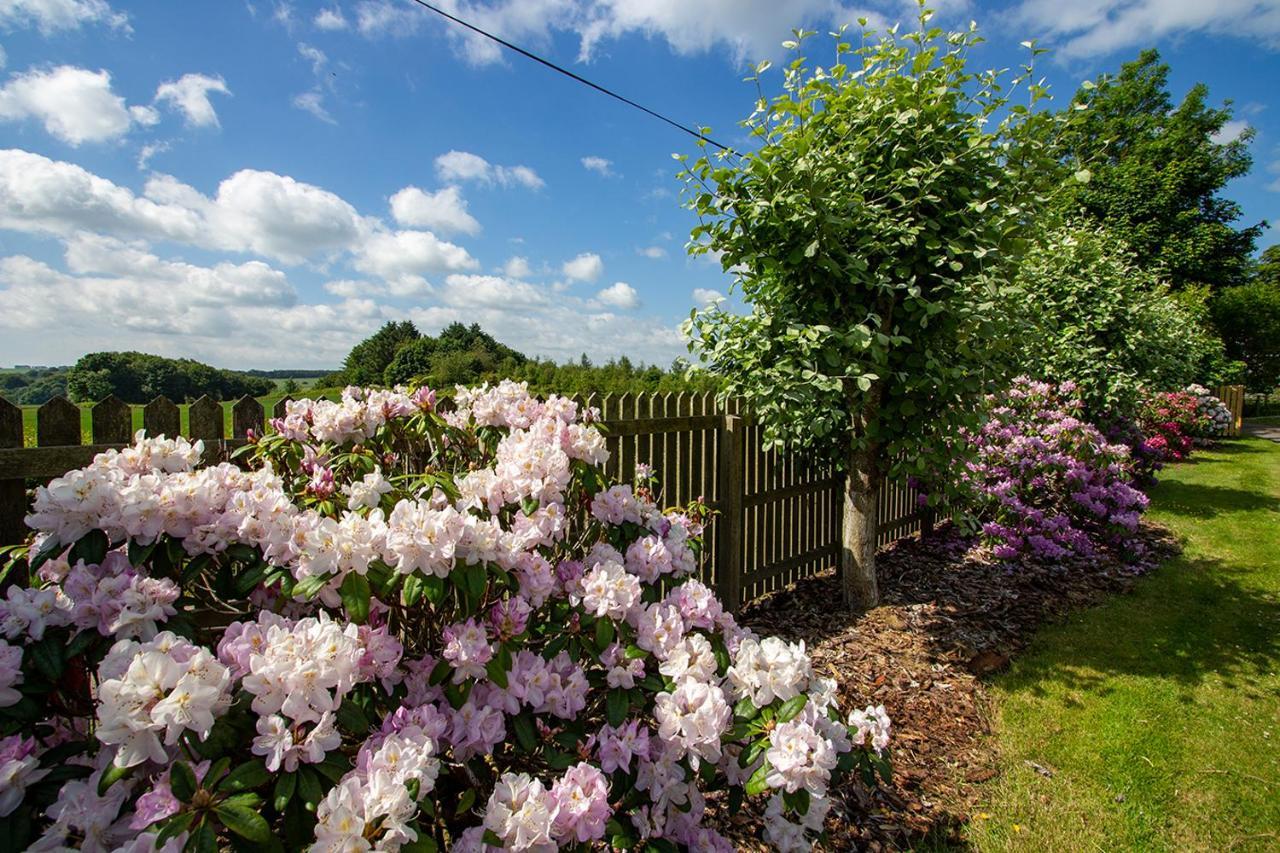 Home Farm B&B - Sunflower Room Forfar Exterior photo